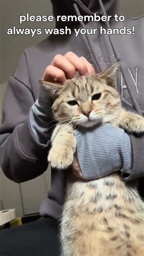 Always wash your hands after touching a human! 😭😂