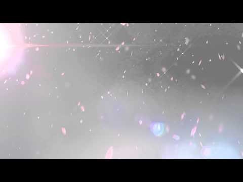 [HD/FreeFootage] 舞い散る桜の花びら・空 [フリー動画素材]