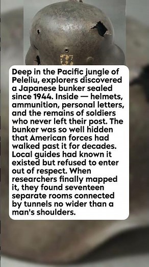 They Found a Bunker Untouched for 80 Years — The Soldiers Were Still Inside