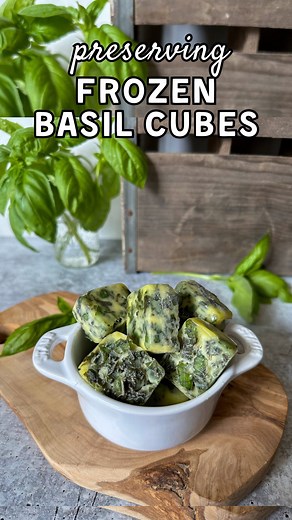 Freezing basil in ice cube trays 🧊 Don’t tell the pesto… but this perhaps my *top* favorite way to preserve fresh basil from the garden! 🌿 It is SO quick and easy to do, and the resulting basil cubes are so versatile to use. We make tray after tray all summer, store the cubes in reusable freezer bags, and then toss them into the pan with sautéed veggies, eggs, soup, sauce and more all year long. No defrosting necessary. . I prefer to make mine with olive oil (which is pretty much always welcom
