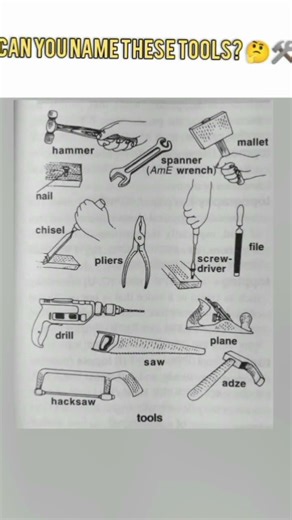 Can You Name These Tools? 🤔 #shorts #tools