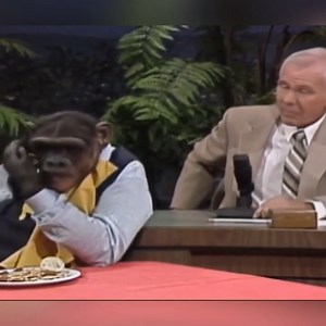 19K views · 444 reactions | I Can't Stop Laughing Best Tonight The Johnny Carson Show Animal Antics With Zippy The Chimp | Funny Talk Show 70s 80s | Facebook