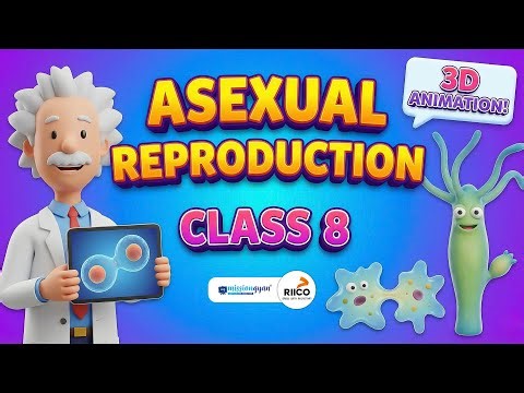 Asexual Reproduction Class 8 | NCERT Hindi Medium | 3D Animation | Class 8 Science