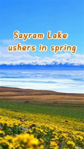 Spring scenery of Sayram Lake in Xinjiang, China | Xinhua Culture&Travel