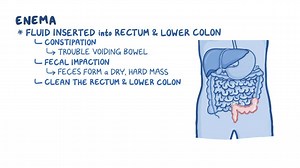 Video: Gastrointestinal: Administering an enema (for nursing assistant training) - Video Explanation! | Osmosis | Osmosis