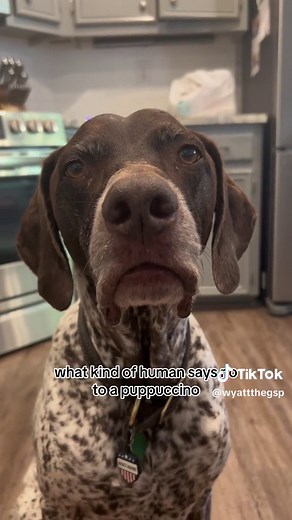 Wyatt Starbuck Nightmare | Kinsley Wyatt POV