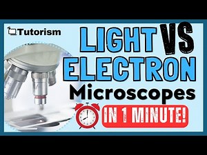 1 Minute⏱️! Light & Electron Microscopes Revision | GCSE Biology 🔬