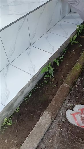 Salah Alamat: Momen Menarik di Beranda TikTok