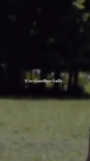 Part 14 - Escaping the maze #gally #thomas #mazerunnerstories