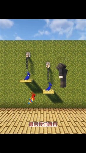 超级可爱的室内鸟笼