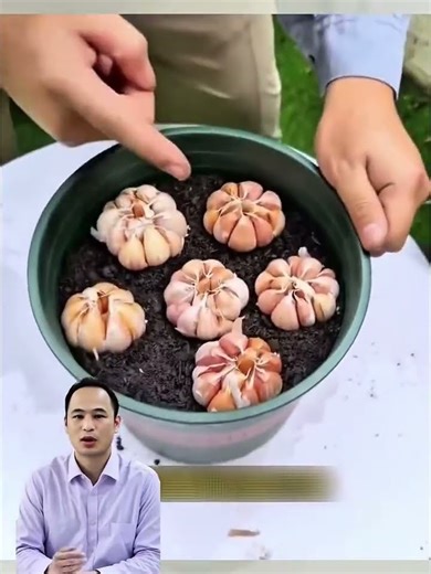 How to Grow Vegetables at Home 🌱 | Easy Gardening Tips #tipsandtricks