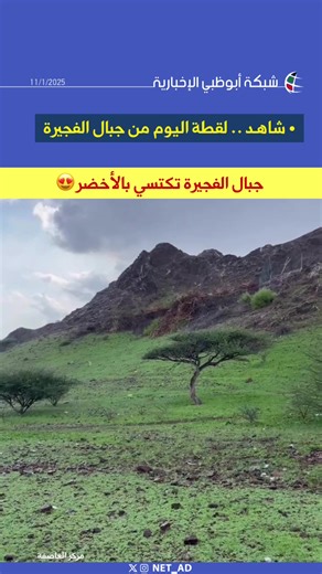 فيديوهات أنشأها NET_AD | شبكة أبوظبي (@net_ad) باستخدام original sound - NET_AD | شبكة أبوظبي