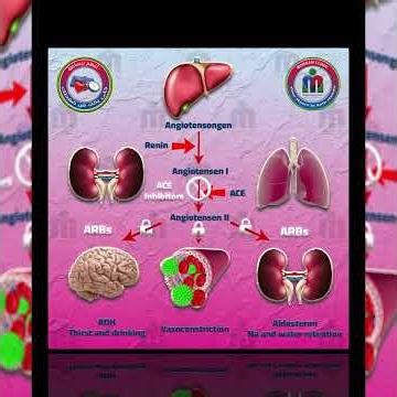 11 - Drugs - ACEI & ARB