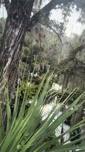Foot Bridge over Hickey Creek