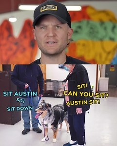 102 reactions · 30 shares | Have a dog with behavior issues? Don't struggle alone. Join the Official No Bad Dog Members Club, and get access to the methods used by world-renowned dog trainer, Tom Davis. | Tom Davis Dog Training | Facebook