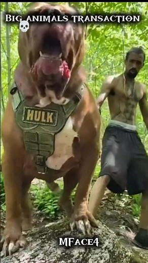 Beautifull snake transformation💀