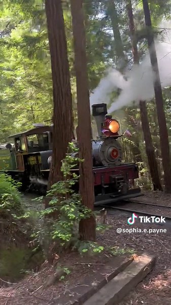 Experience Scenic Train Rides at Roaring Camp Railroads