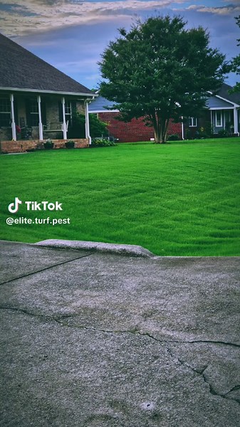 Elite Turf & Pest on TikTok