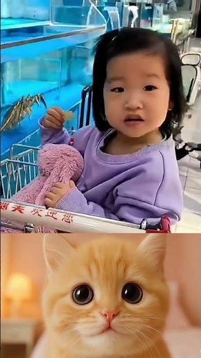 Funny Pet Fails Compilation Hilarious Animals Getting Into Trouble Must See Moments! #123