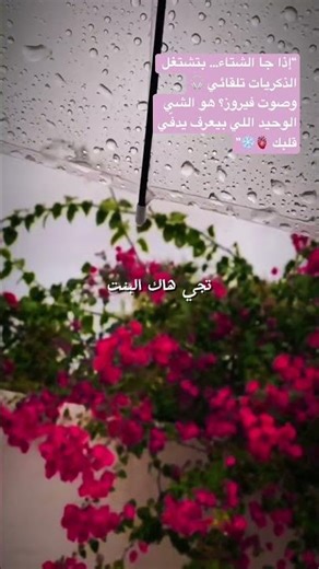 أيام البرد… وصوت فيروز اللي ما بيخذلك 🎶❄️🔥 هاشتاك:#فيروز #شتاء #اغاني_قديمة #احساس #حنين #ذكريات