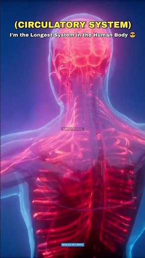 Solar System vs Human Body 👺😇 #shorts #space #earth #science