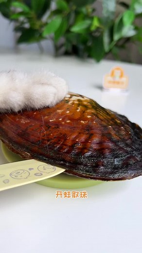 Cat Meo Meo 🐱 (@meowmewoid)’s videos with original sound - Cat Meo Meo 🐱