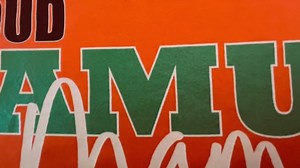 FAMU Personalized Custom Shirt - Etsy