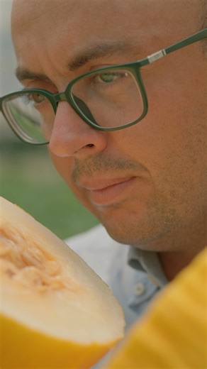 2K views · 4.3K reactions | Giallo come il sole, dolce come l’estate, fresco come la brezza del mare: il melone Firmato Dagli Agricoltori Italiani è profumato, vanigliato e perfetto da gustare in ogni momento. Scoprilo da Lidl insieme a tanti altri prodotti con lo stesso sigillo!  #LidlItalia #FreschezzaInTuttiISensi #FirmatoDagliAgricoltoriItaliani | Lidl Italia | Facebook