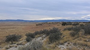 3.2K views · 195 reactions | Do you see them? Me either  We're...