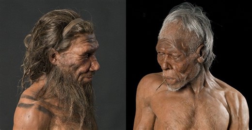 773,000-year-old Moroccan cave fossils reveal human and neandertal evolutionary split