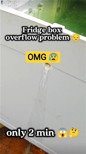 Rainy Time Fridge box overflow set-up| Easy to set this method|😍👍😱 #shortvideo#fridgebox#viral#fish
