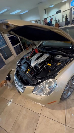 Dan Deneen on Reels