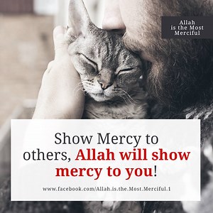 321K views · 20K reactions | Be merciful to those on the earth and, the One above the heavens will have mercy upon you :) <3 | Allah is the Most Merciful | Facebook