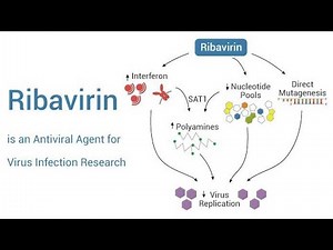 Pharmacology of Ribavirin ; Clinical uses, Mechanism of action, Metabolism, Absorption, Side effects