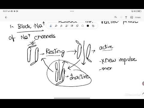 Antiepileptic Drugs in 20 Minutes | Pharmacology Simplified