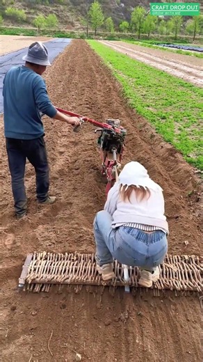 🌱⚙️ Flexible Drag Harrow for Uniform Seedbed Preparation