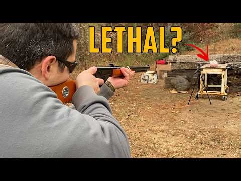 Could A Red Ryder BB Gun Be Lethal?
