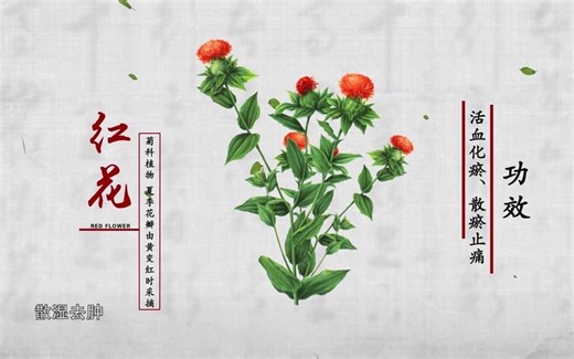 《本草中国第一季》第1集：时间