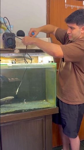 Electrical Eel Experiment in Water!