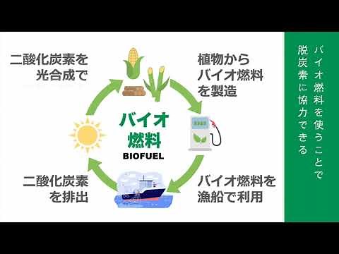 【日本初！】漁船での次世代バイオディーゼル燃料実証試験の取組み紹介