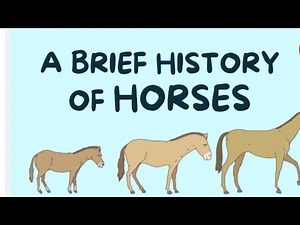 How horses changed history || Horse History || TED-Ed