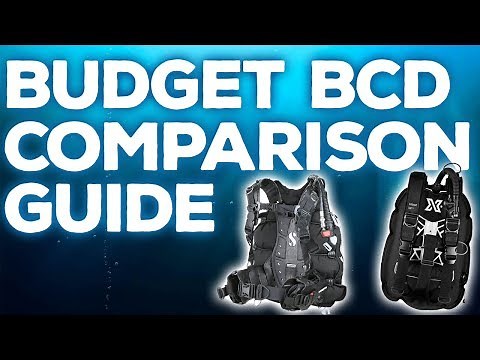 Entry Level BCD Comparison Guide