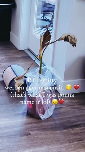 RAVON (@skinnni)’s videos with original sound - RAVON