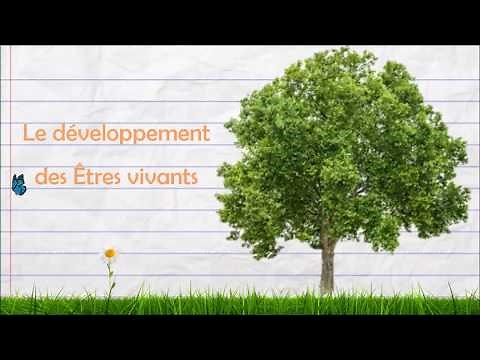 Le développement des Êtres vivants