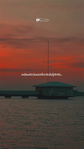 รักเหมือนเดิม แต่คงเลิกคาดหวัง ปล่อยให้ทุกอย่างค่อยๆหายไปตามกาลเวลา🥲🖤 #เลิกคาดหวัง #คนแปลกหน้าที่อยากเจอ #ความรักที่หายไป🖤🥀 #สตอรี่_ความรู้สึก😔🖤 #introvertนายต้นไม้🌳