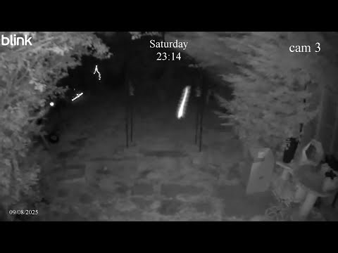 On NVC tonight. Creepy Multi Legged Bug, what is it? and a hunting moth. #bugs #nightinsects #orbs