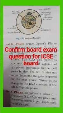 Mitosis in Animal cell #biology #science #icseboard #icse #icsebiology10 #icsesolution #isc#neet