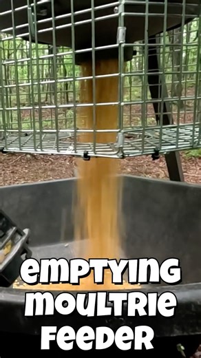 Moultrie Feeder Motor Dead! 🌽 Corn Dump Fix