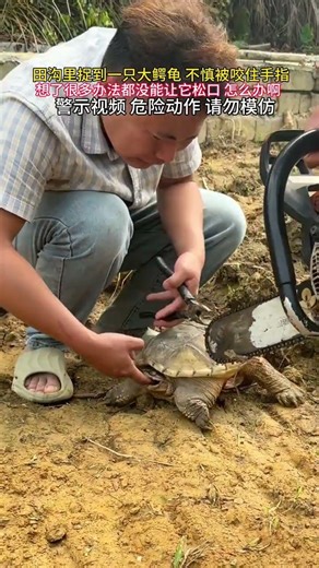 What should I do if a snapping turtle bites my finger? How can I make it open its mouth quickly?