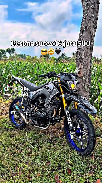 Pesona Surex: Pilihan CRF yang Menawan